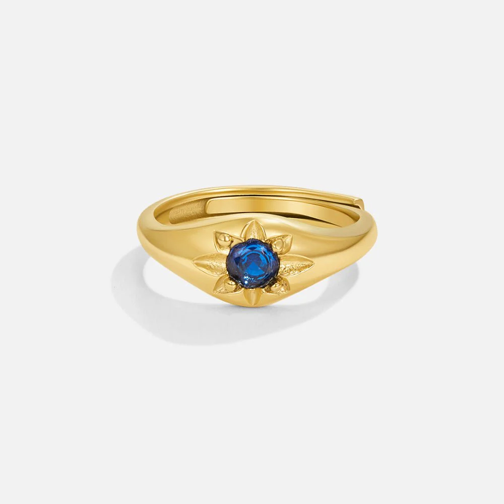 Edelstahl - RING Schablone - Image 4