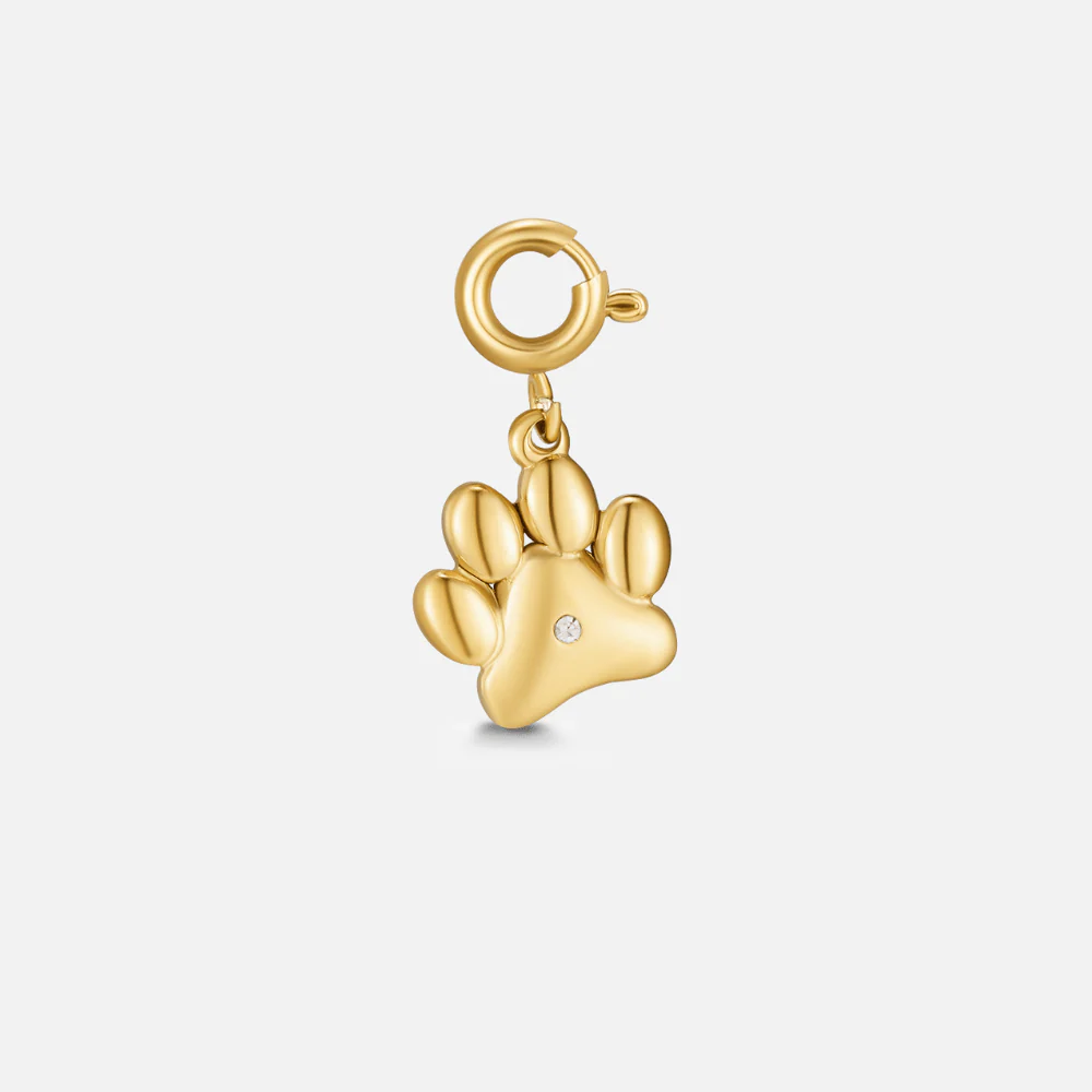 Pfote der Liebe Charm