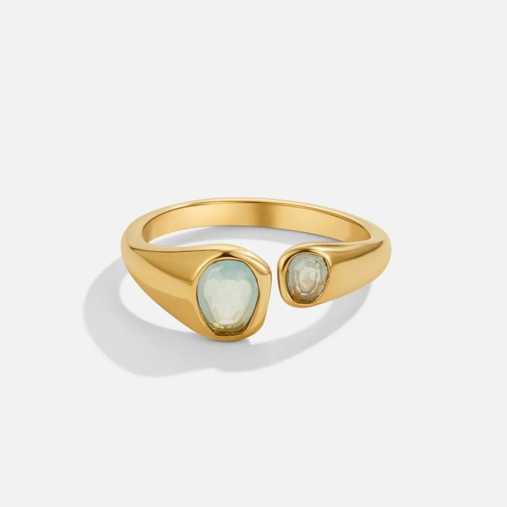 Edelstahl - RING Schablone - Image 4
